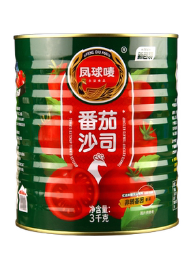 凤球唛番茄商用意大利面薯条沙司