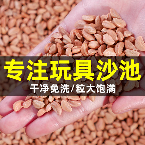 新货山楂籽玩具沙【全网热销】