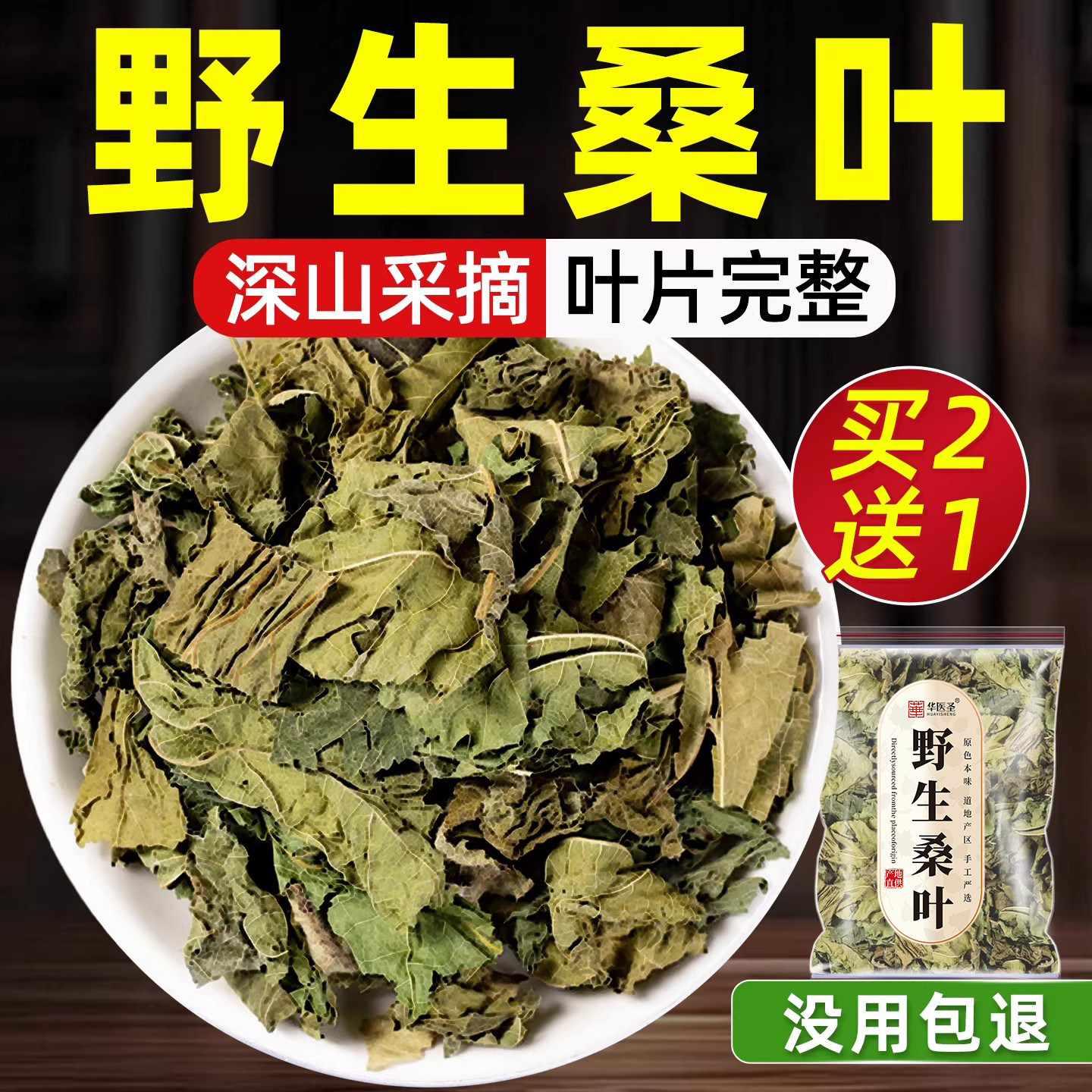 野生桑叶新鲜中药材老槡叶片正宗桑葚叶干树降霜后打泡水天然批发