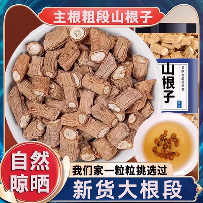 山根子银柴胡中药材凉血不淤