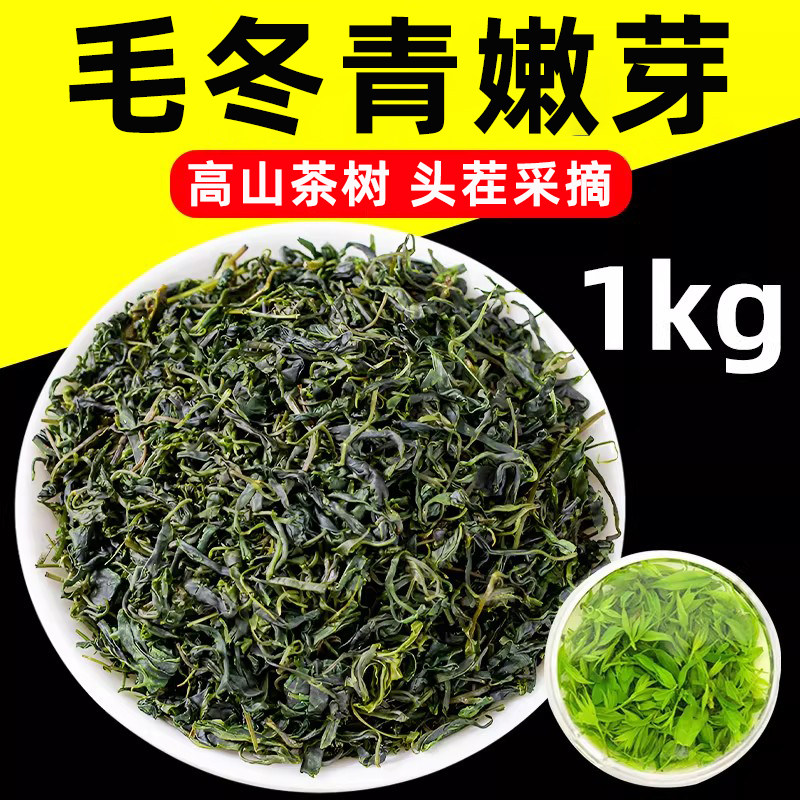 毛冬青云南野生茶的功效毛东青茶中药材500g毛冬清嫩芽茶叶非特级
