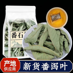 番石榴叶茶正品新鲜干货芭乐叶中药材非野生高山番桃叶子潘石榴叶