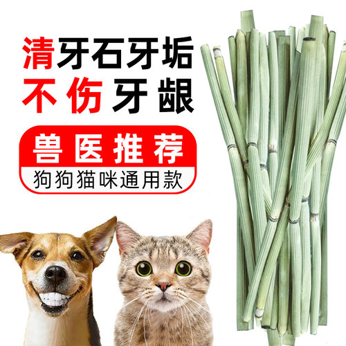 木贼草中药材牙齿白净不伤牙龈
