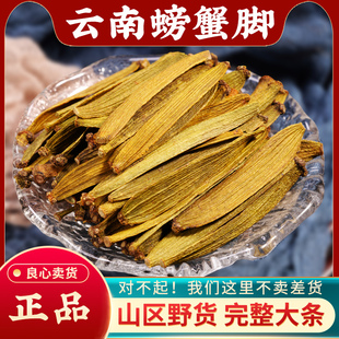 云南野生螃蟹脚500g中药材正品古茶树寄生茶 枫香槲寄生 螃蟹脚茶