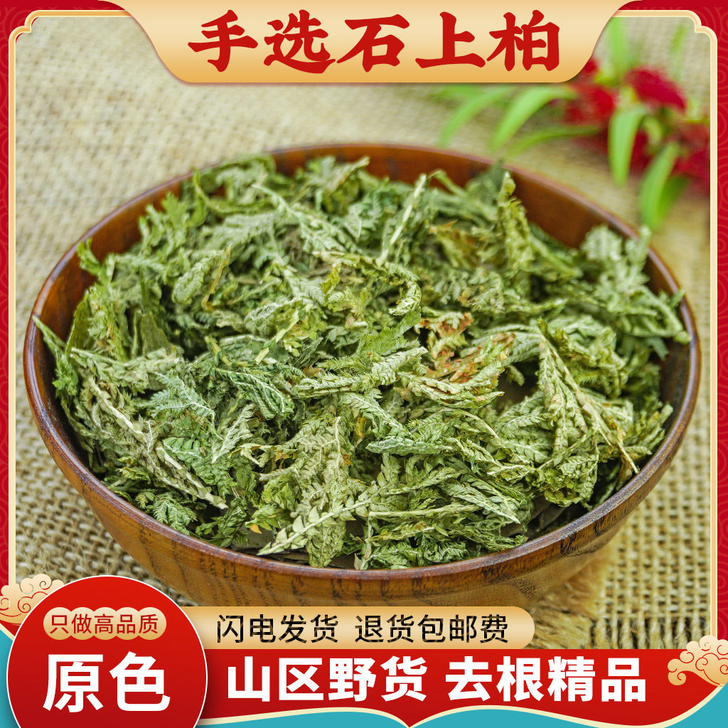 石上柏中药材500g野生石上柏中草药石柏新鲜干货地柏草地侧柏叶