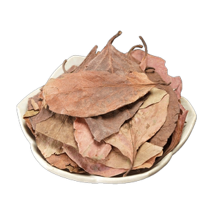 柿子叶中药材500g柿子叶茶新鲜干货可打柿子叶粉柿叶霜后柿子树叶