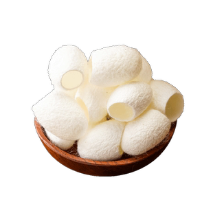 蚕茧中药材500g天然桑蚕茧壳入药桑蚕丝茧球泡茶水喝带蛹蚕茧抽丝