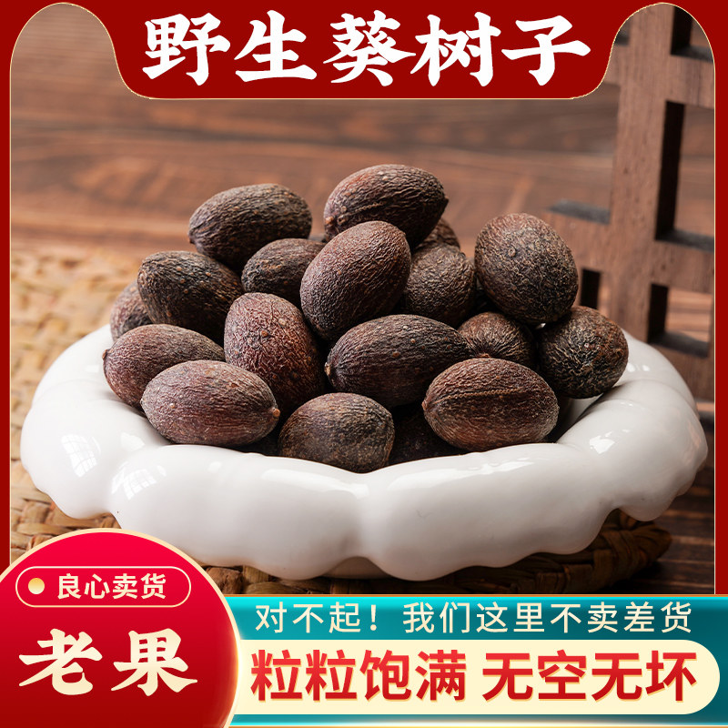 葵树子中药材500g野生正品新会大粒葵树籽老果葵扇子葵扇籽蒲葵籽