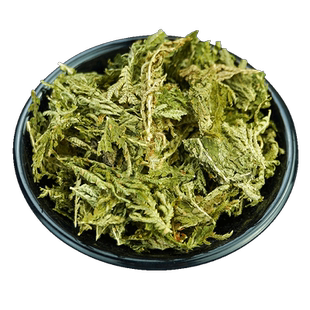 石上柏中药材500g野生石上柏中草药石柏新鲜干货地柏草地侧柏叶