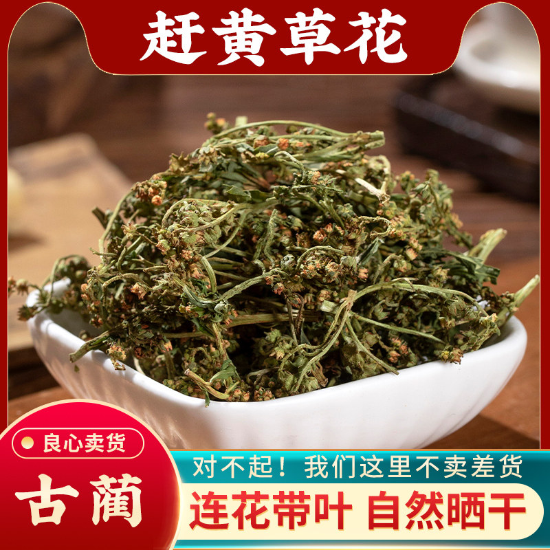 赶黄草花中药材500g克正品野生四川古蔺全株花蕾新一级花蕾益肝茶