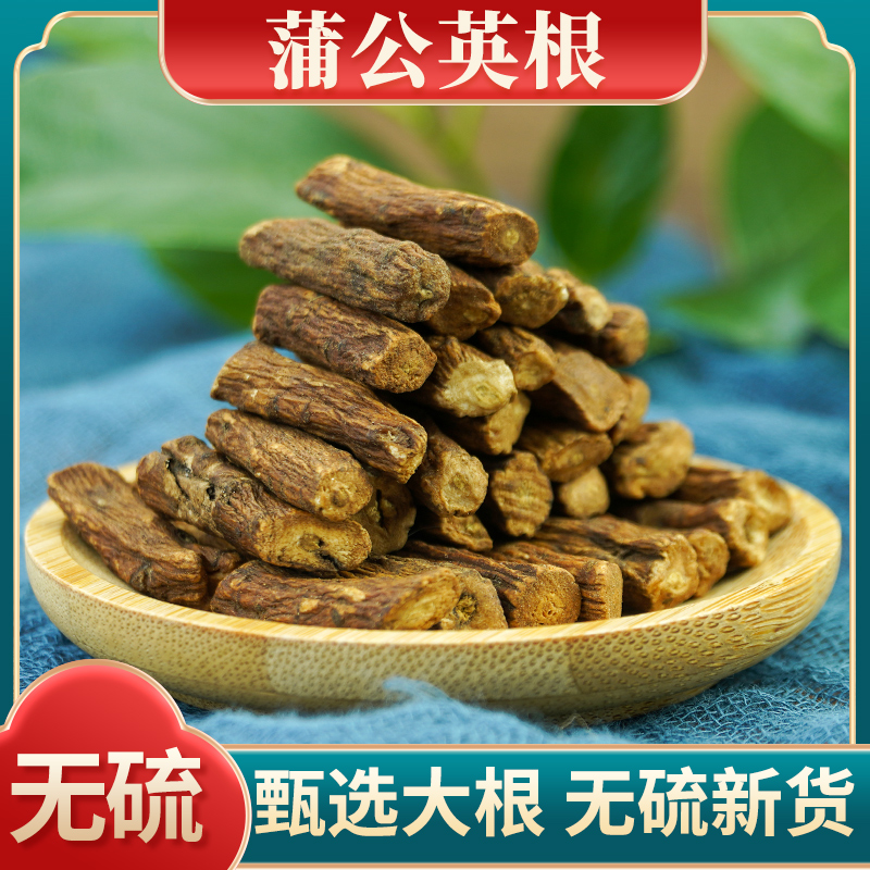 蒲公英根中药材500g长白山正品特级野生蒲公英根粉无硫蒲公英根茶