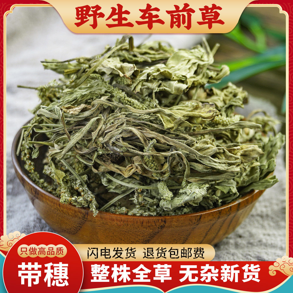 车前草中药材500g克干车前草野生茶新鲜干货车前草泡水喝车前草粉