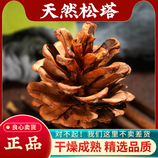 天然野生松塔中药材500g新鲜干货松球松果大个老松塔泡酒料松塔粉