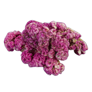 鸡冠花中药材500g白鸡冠花干花白色鸡冠花药用干货凤尾大红鸡冠花