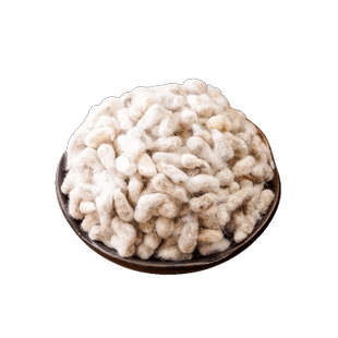 棉花籽药用500g药用棉籽仁新疆棉花子无硫棉花籽种子棉花籽中药