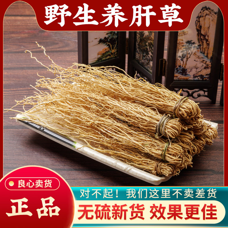 养肝草中药材500g野生养肝草韶关正宗护肝草纯天然龙须草煲汤