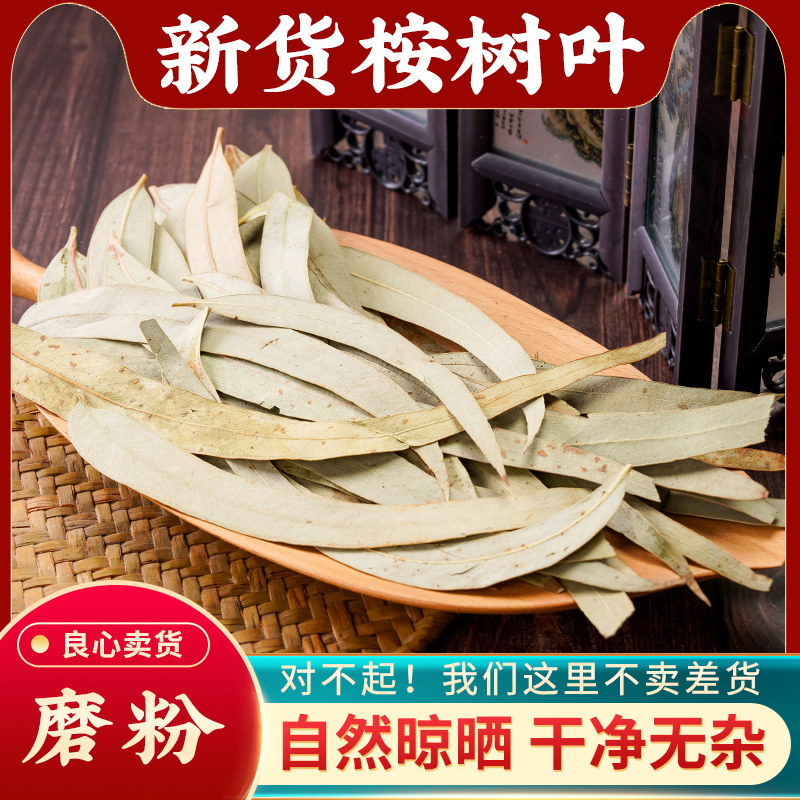 桉树叶中药材500g密袋鼠尤加利叶按树叶子干货尤加利树叶桉叶安叶