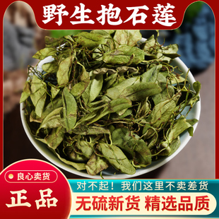 精选野生抱石莲中草药500g新鲜干货石瓜子金丝鱼鳖草抱树莲泡茶水
