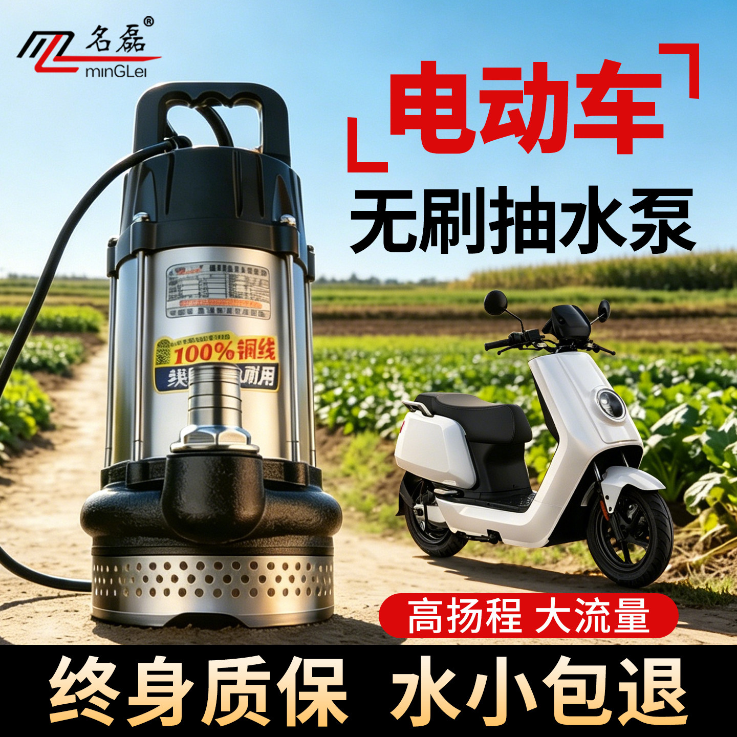 无刷电瓶车专用抽水泵48v60v72v电动车抽水泵直流潜水泵浇菜灌溉