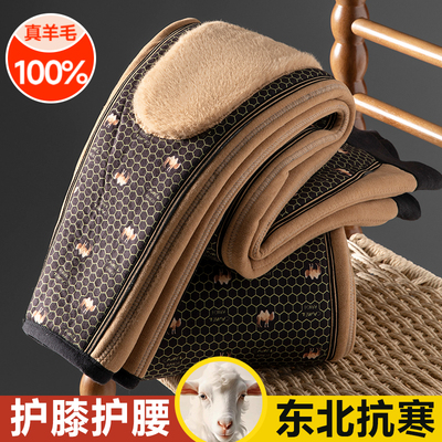 羊毛保暖裤男士内穿老年棉裤冬季
