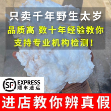 长白山千年太岁纯天然野生白肉石太岁活体泡水肉灵芝 太岁老店