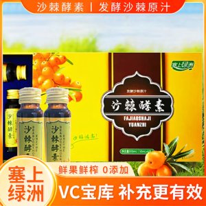 山西右玉特产塞上绿洲沙棘酵素原汁水果发酵沙棘原液送礼