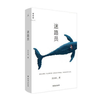 理想国 现货 赠书签 迷路员 沈大成 同时代中独树一帜的青年小说家 华丽想象描绘我们时代的异样日常与生活困境 台海出版社