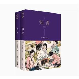 正版现货 知青上下 梁晓声中国青年出版社知青小说代表作 直长篇文学书籍