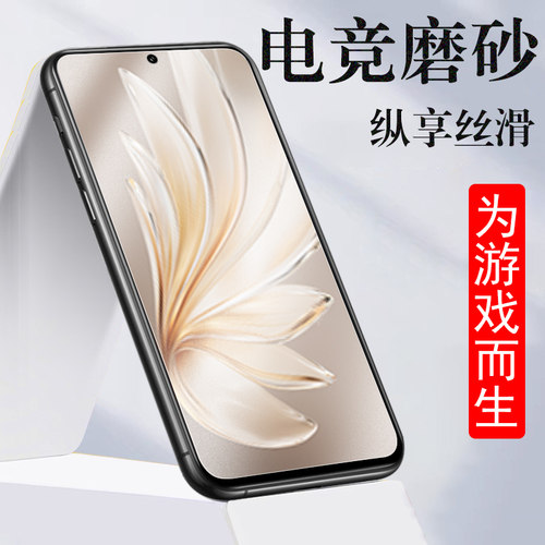 vivos20/v2429a磨砂钢化膜