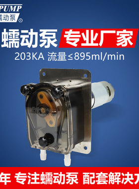 杰恒203KA计量蠕动泵小流量抽水泵小型直流12V 24V清洗机抽糖浆泵