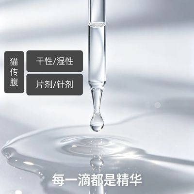 猫传腹干性湿性猫咪传腹油剂水剂腹膜炎口服片剂高效版营养液