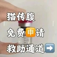 猫传腹口服片/片剂/针剂/油剂/干湿性传腹/大肚子/抑制剂/营养液