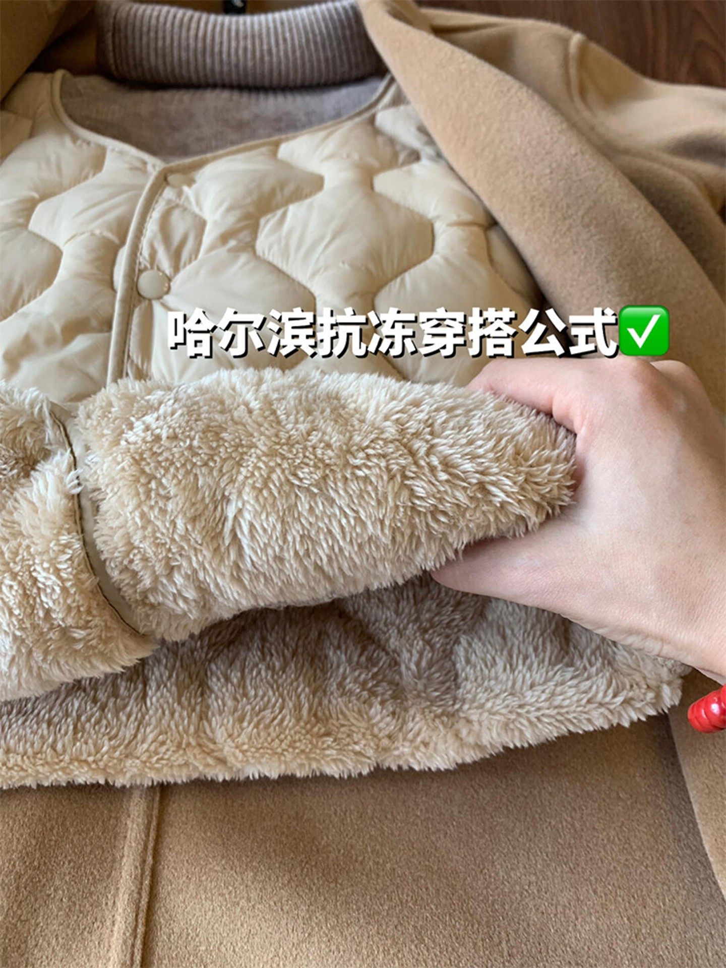 东北羽绒棉马甲女秋冬叠穿毛衣羊羔绒内胆配大衣打底内搭加绒背心