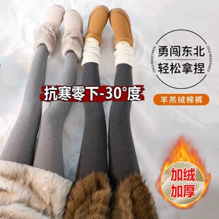 高腰东北棉裤 外穿哈尔滨防寒保暖裤 女冬季 特厚800克羊羔绒打底裤