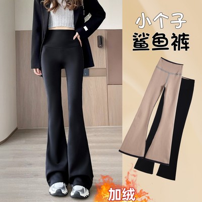 加绒鲨鱼喇叭裤女秋冬新款高腰显瘦休闲显瘦小个子八分微喇1122e