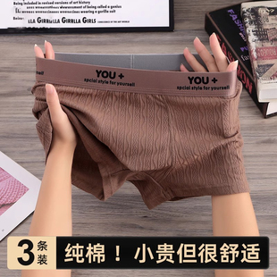 男生提花运动四角裤 男式 个性 3条 四角短裤 内裤 透气男款 衩 纯棉男士