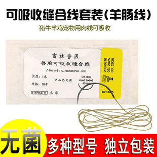 兽用可吸收缝合线缝合外科带针埋线兽医手术PGA羊肠线宠物针线