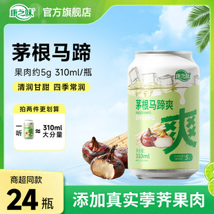 康之味茅根马蹄爽荸荠果汁果肉果粒水果饮料清润解腻310ML 24听