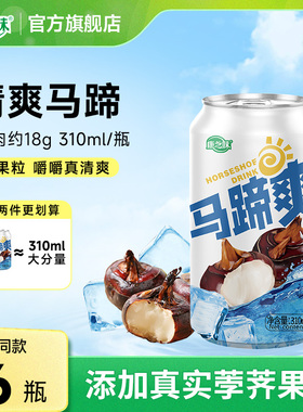 康之味马蹄爽荸荠果汁果肉果粒水果饮料清润解腻310ML*6瓶
