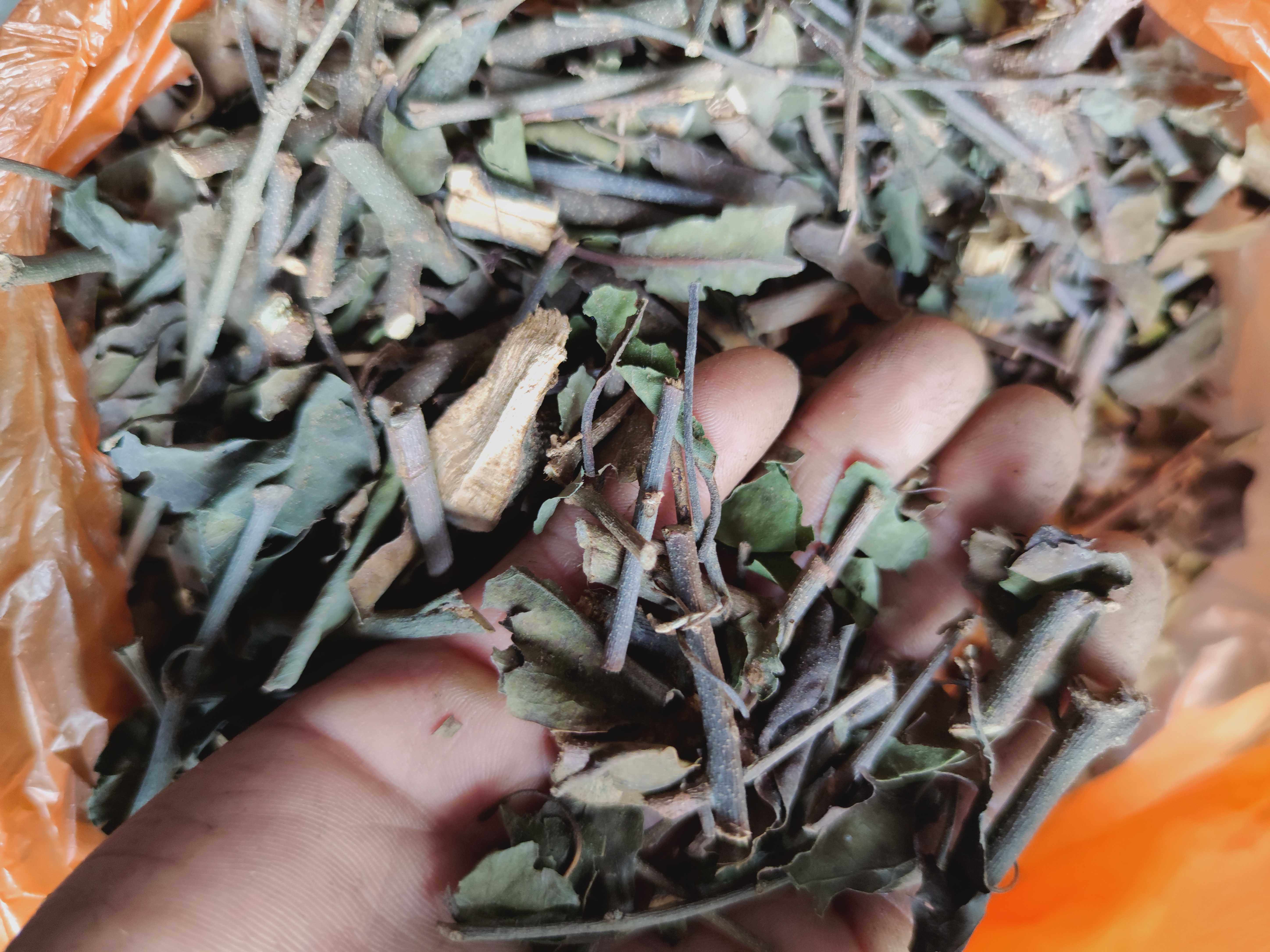 黄皮寄生 黄皮果树寄生 正品干货500克