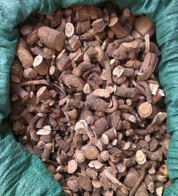 野生干品独行千里 膜叶马槟榔500克