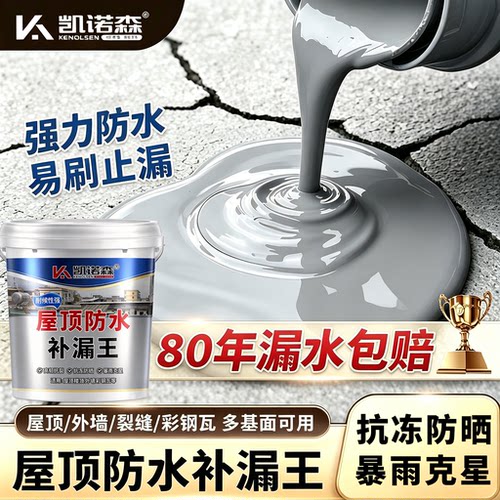 屋顶防水补漏材料房顶裂缝渗水