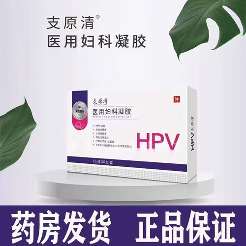 支原清 医用妇科凝胶 hpv 5支/盒 正品保证
