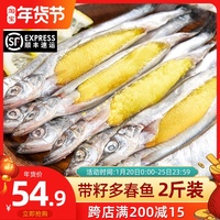 加拿大多春鱼满籽海鲜多春鱼籽鲜活冷冻特大多春鱼鲜多籽鱼1000g