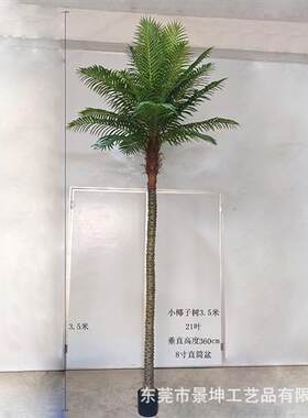 仿真小椰子树仿真美丽针葵树小棕榈树室内外绿植盆栽落地造景装饰