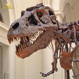 大型景区恐龙骨架室内科技博物馆恐龙骨骼化石展览模型定制