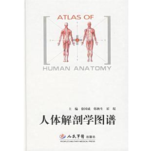 韩秋生 徐国成 人体解剖学图谱 霍琨 正版
