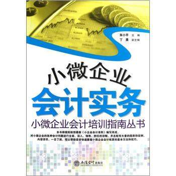 【正版】小微企业会计培训指南丛书 小微企业会计实务 朱小平、丁勇