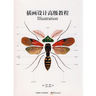 【正版书】 国际插画设计教程:插画设计教程 (英)梅尔(Male,A.)　著,孙楠,张伟　　译 大连理工大学出版社