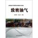 著 社 规油气资源现实 赵政璋 杜金虎 致密油气 书 勘探开发领域 石油工业出版 等 正版